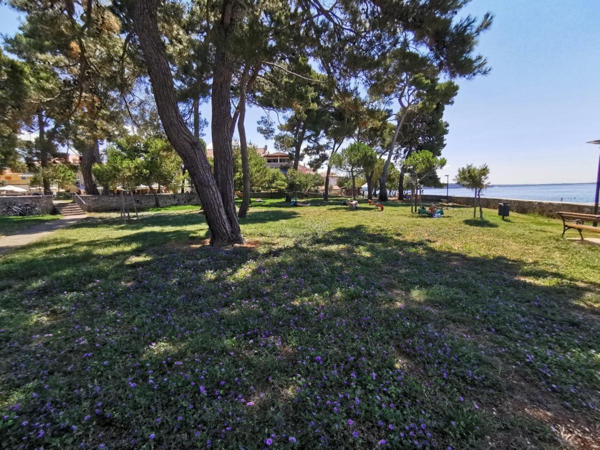 Stella Deluxe Superior 5 Star Apartment, Your Piece Of Heaven By The Sea & Park, With Sea View Novigrad Istria Exterior foto